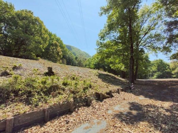 大塚大岩_貸土地