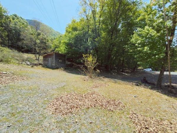大塚大岩_貸土地