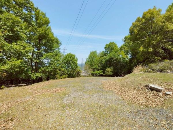 大塚大岩_貸土地