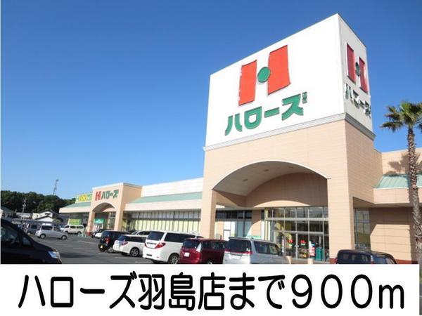 グランデール大島(ハローズ)
