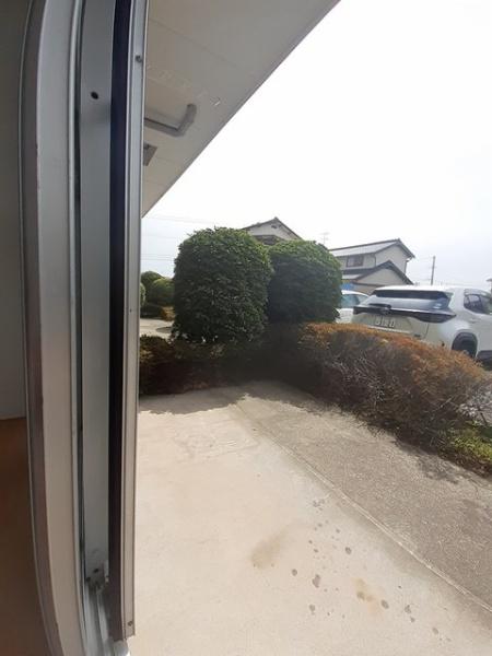 パールフィールド