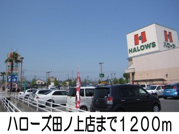グランソレイユ(ハローズ)