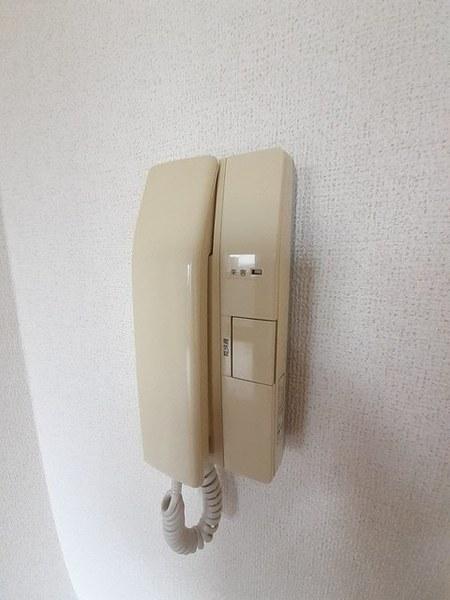 ジュンサンライト