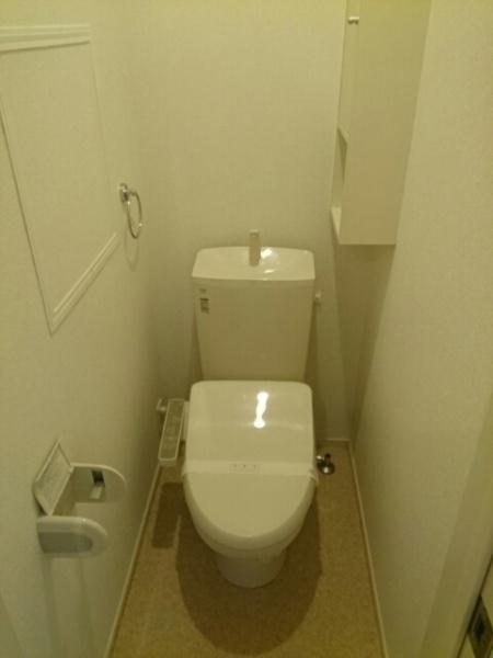 グレース　ノバ