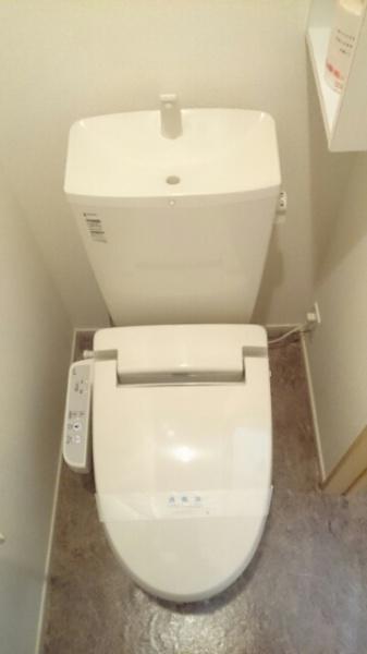 サンライト