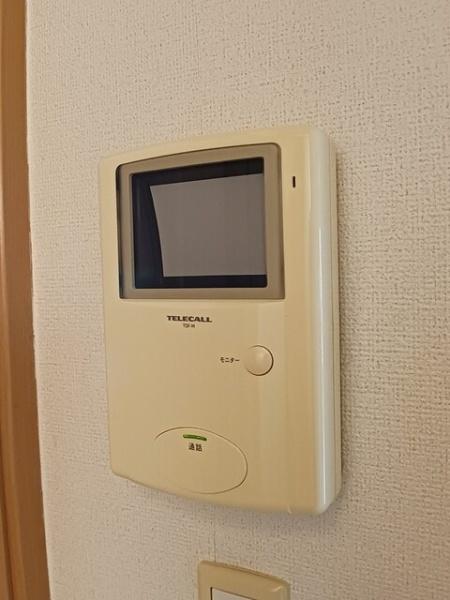 セレッソ２