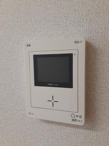 プラシード・Ｔ