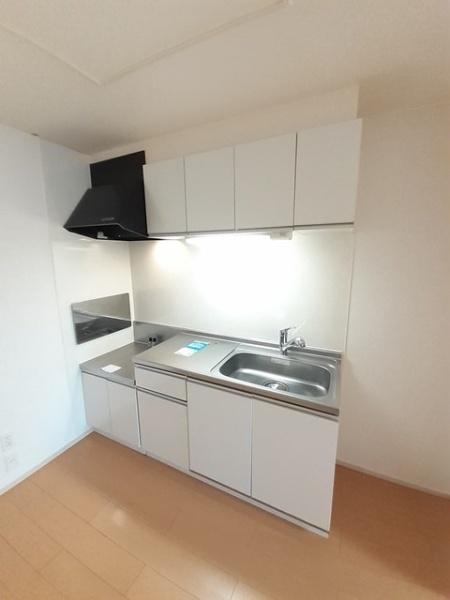 プラシード・Ｔ