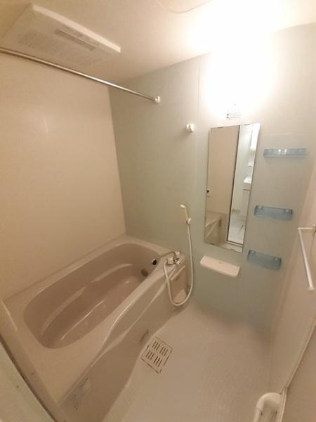 プラシード・Ｔ