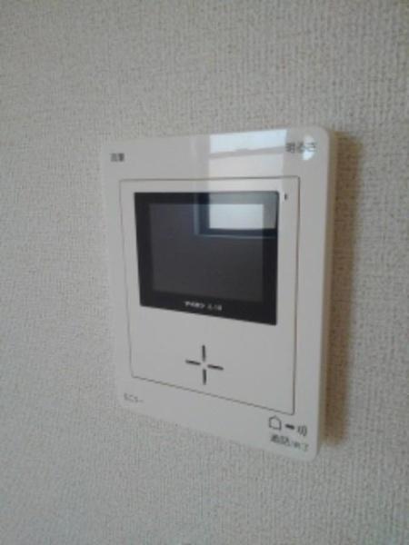 プラシード・Ｔ