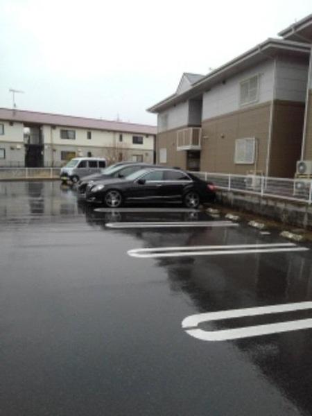ラコルタ　若竹　Ｂ