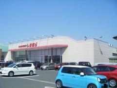 エルディム定金3(ファッションセンターしまむら中畝店)