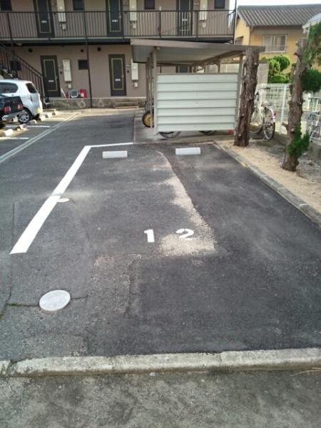 ピュシス