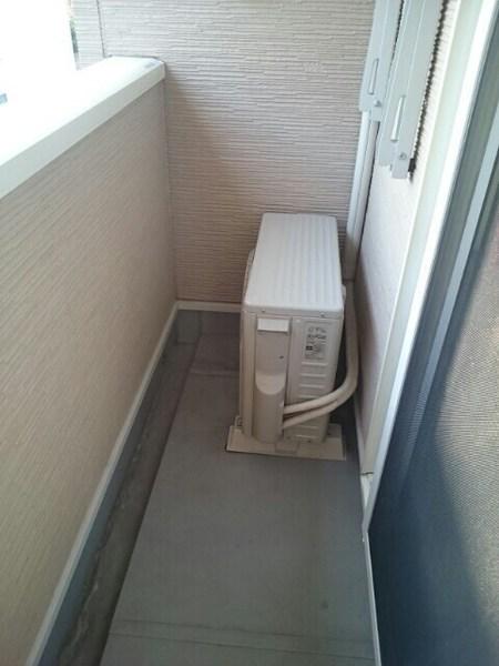 サンライト