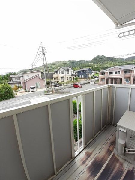 シェーン・バッハ