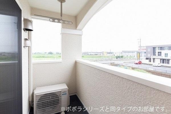 ルピナス１