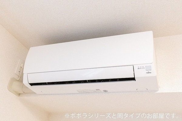 ルピナス１