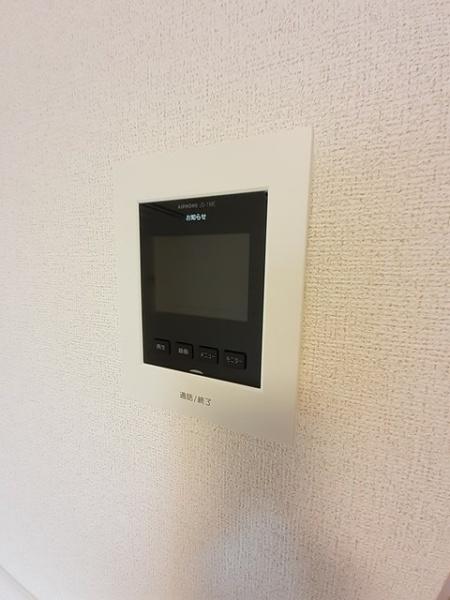ルピナス１
