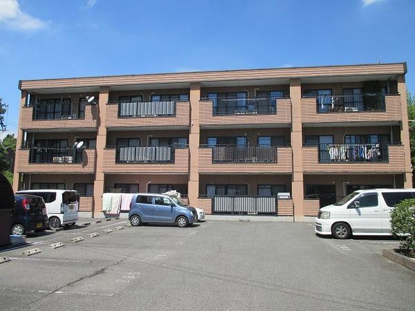 マリッチ　岡