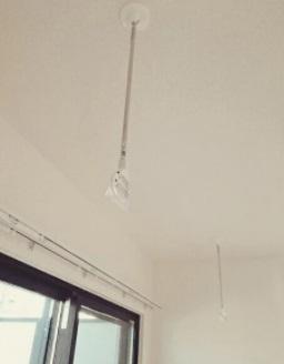 アンジュラピス