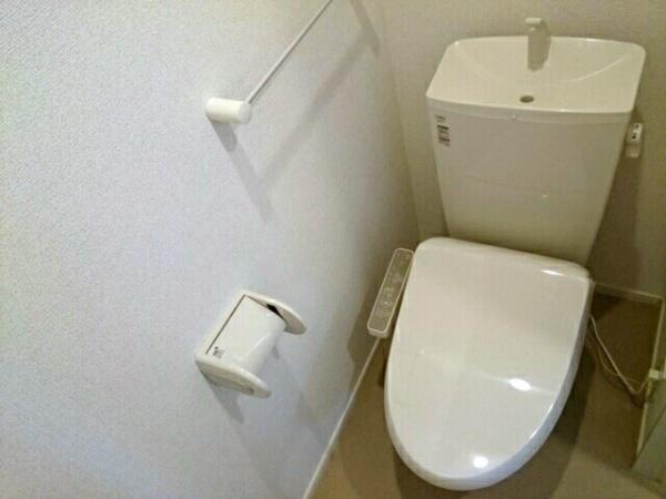 サンフラワーＢ
