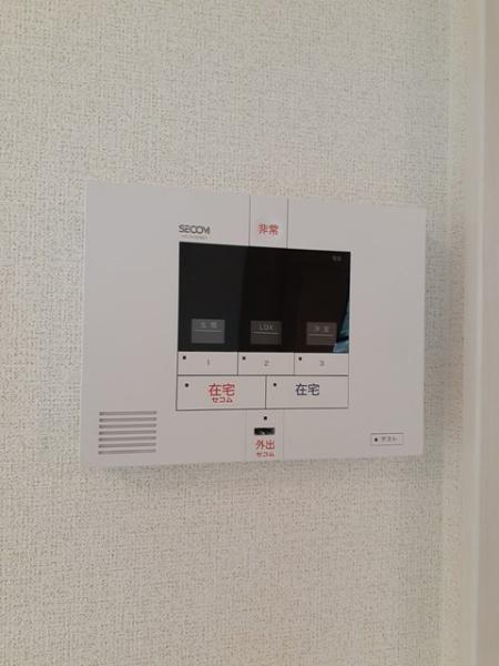 アイリス　パディ