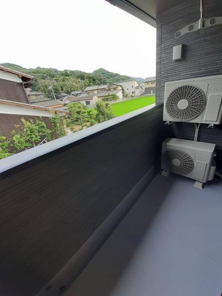 アイリス　パディ