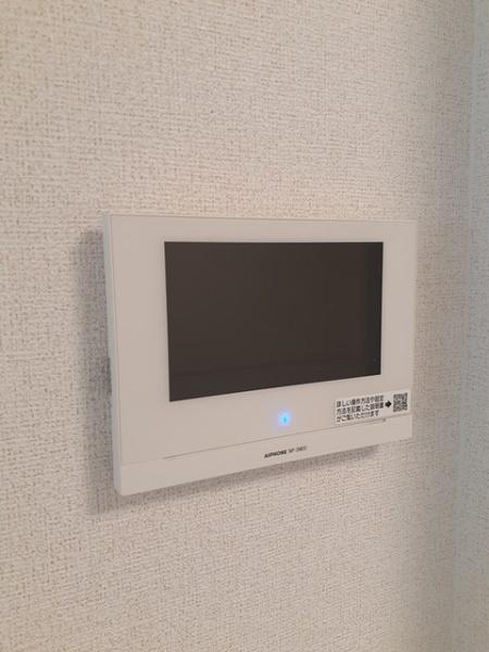 アイリス　パディ