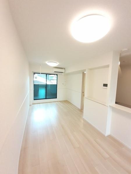 アイリス　パディ