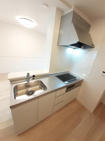 アイリス　パディ