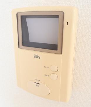 パミドールF