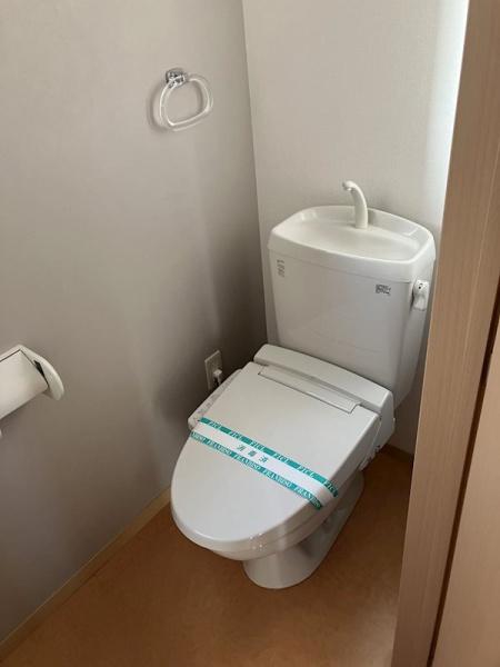 ベルホワイト