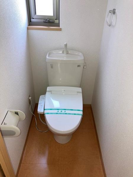 ベルホワイト　B