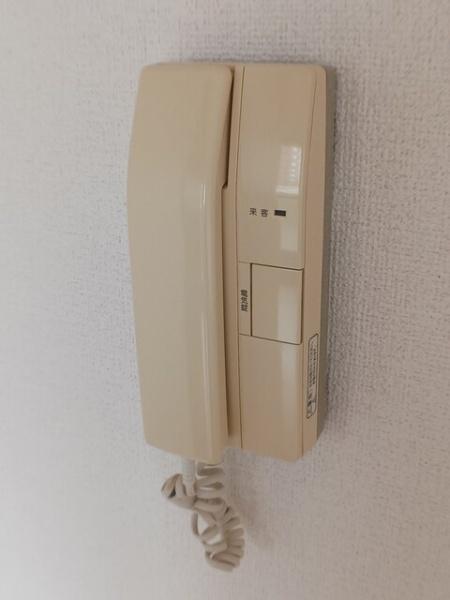 ジュンサンライト