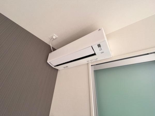 シェルティ