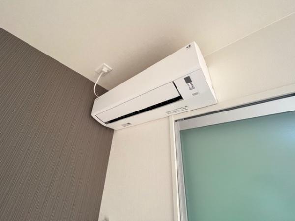 シェルティ