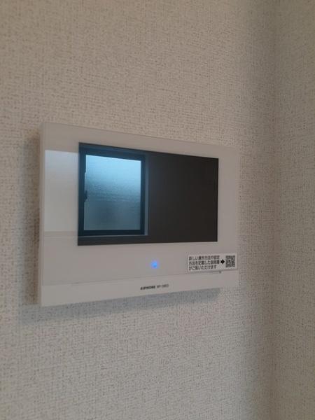 アイリス　パディ