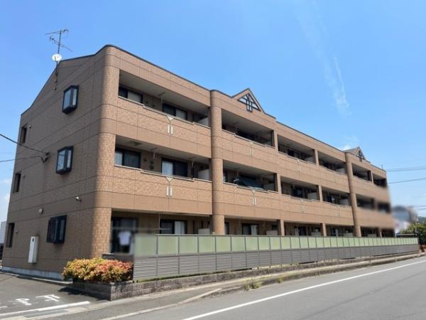 サンライズ亀甲