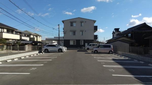 オリーブ