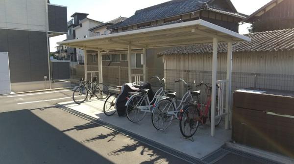 オリーブ