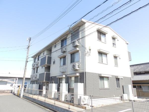 オリーブ