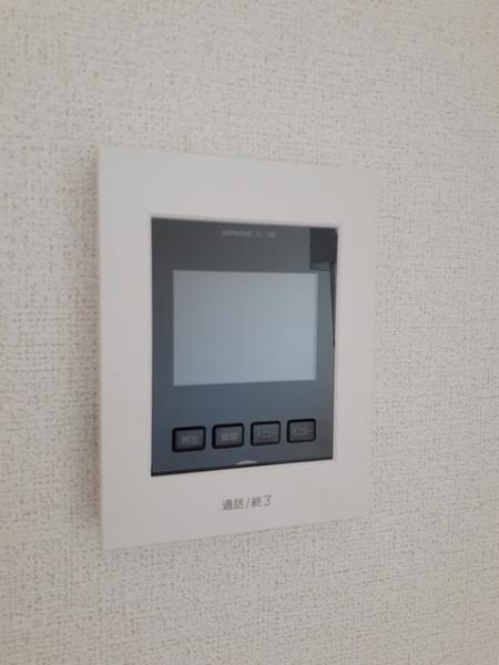 シェーン・バッハ