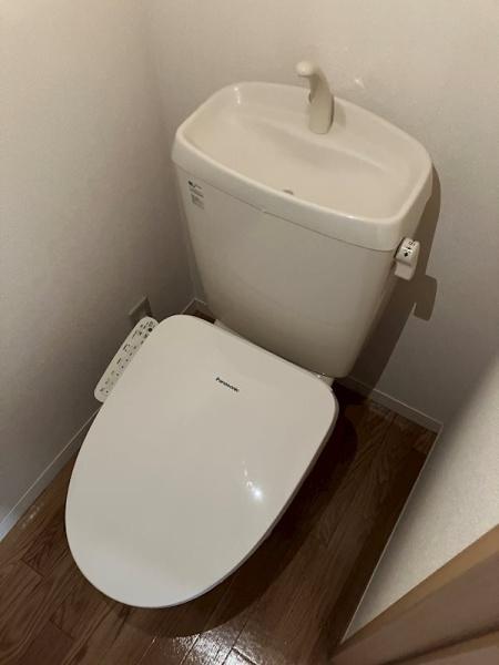 ソレールD