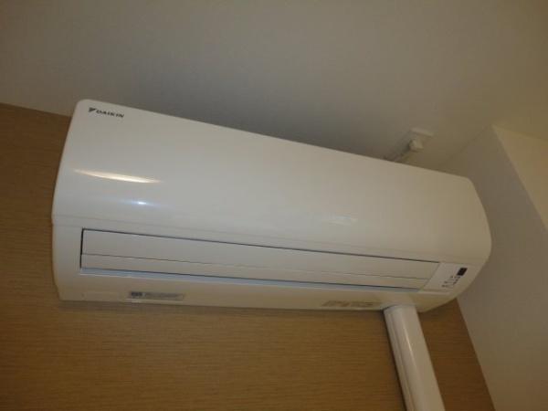 さくらそう