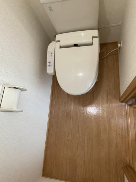 パインツリーD