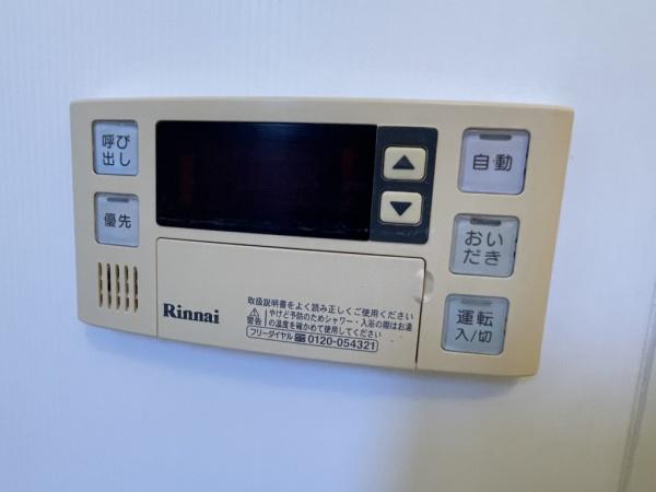 パインツリーD