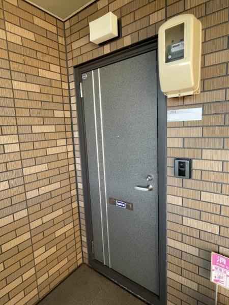パインツリーD