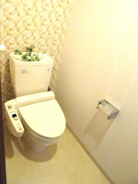 Ｋーｃｉｔｙ葦高