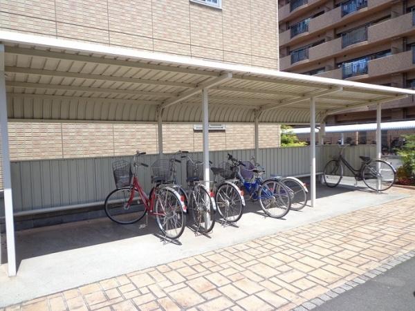 グリーンコスミオン