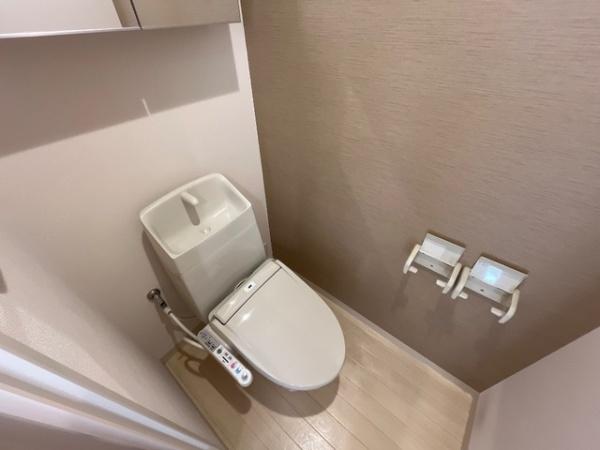 さくらそう